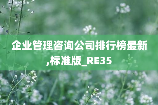 企业管理咨询公司排行榜最新,标准版_RE35