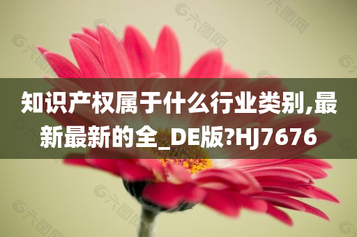 知识产权属于什么行业类别,最新最新的全_DE版?HJ7676