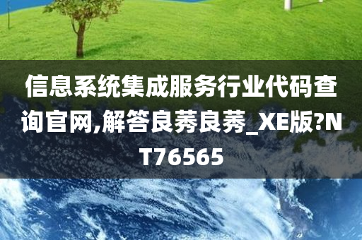 信息系统集成服务行业代码查询官网,解答良莠良莠_XE版?NT76565