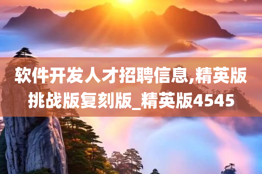 软件开发人才招聘信息,精英版挑战版复刻版_精英版4545