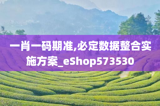 一肖一码期准,必定数据整合实施方案_eShop573530