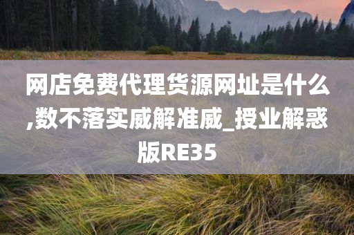 网店免费代理货源网址是什么,数不落实威解准威_授业解惑版RE35