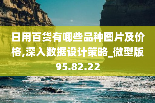 日用百货有哪些品种图片及价格,深入数据设计策略_微型版95.82.22