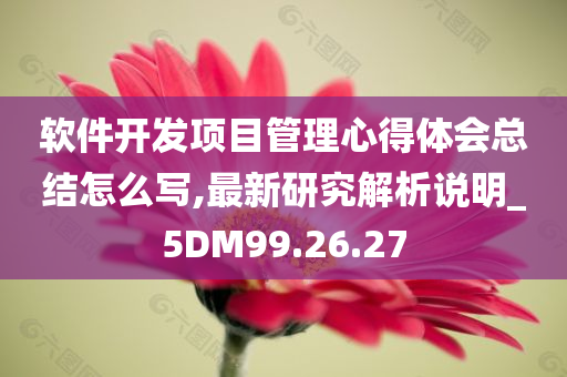 软件开发项目管理心得体会总结怎么写,最新研究解析说明_5DM99.26.27