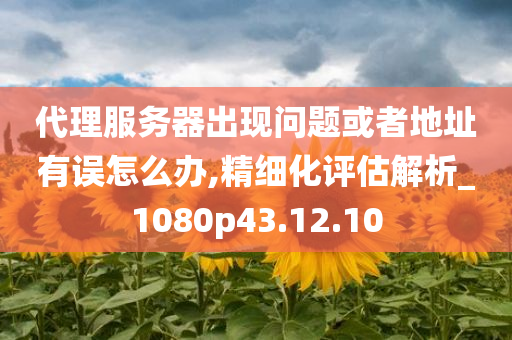 代理服务器出现问题或者地址有误怎么办,精细化评估解析_1080p43.12.10