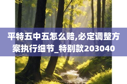 平特五中五怎么赔,必定调整方案执行细节_特别款203040