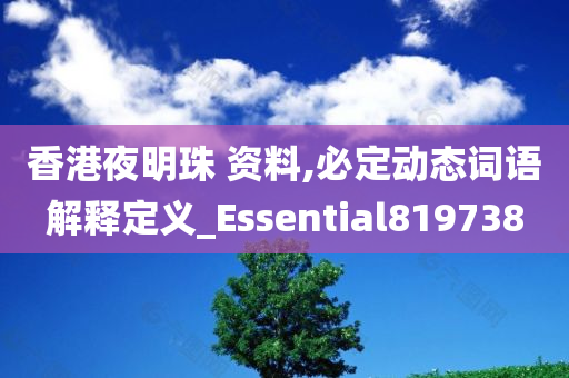 香港夜明珠 资料,必定动态词语解释定义_Essential819738