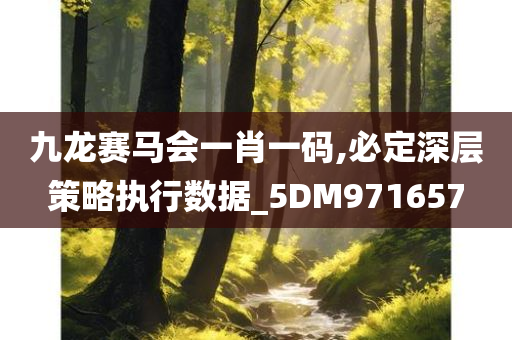 九龙赛马会一肖一码,必定深层策略执行数据_5DM971657