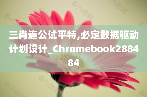 三肖连公试平特,必定数据驱动计划设计_Chromebook288484