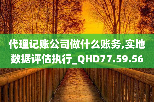 代理记账公司做什么账务,实地数据评估执行_QHD77.59.56