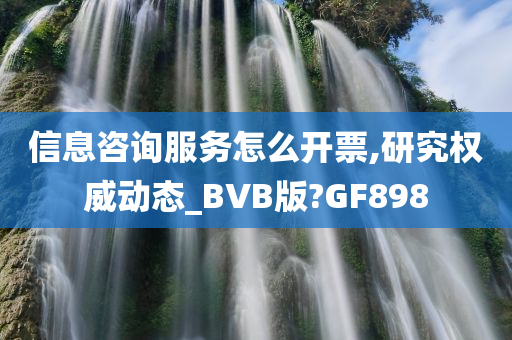 信息咨询服务怎么开票,研究权威动态_BVB版?GF898