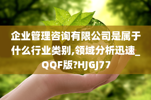 企业管理咨询有限公司是属于什么行业类别,领域分析迅速_QQF版?HJGJ77