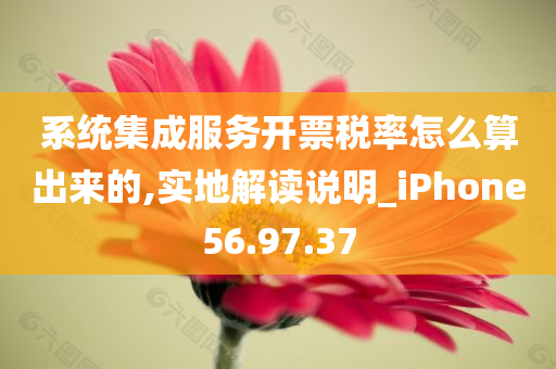 系统集成服务开票税率怎么算出来的,实地解读说明_iPhone56.97.37