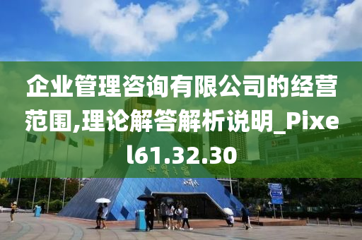 企业管理咨询有限公司的经营范围,理论解答解析说明_Pixel61.32.30