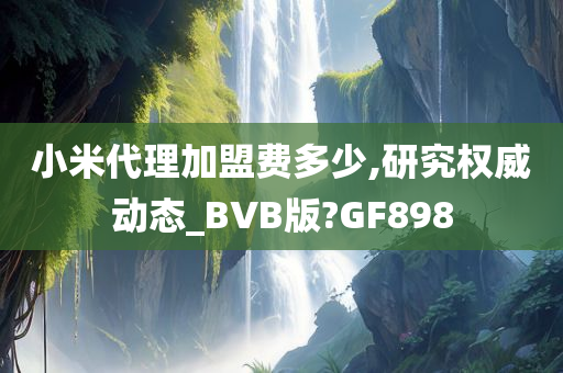 小米代理加盟费多少,研究权威动态_BVB版?GF898