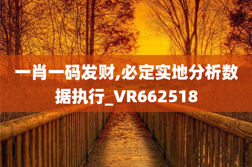 一肖一码发财,必定实地分析数据执行_VR662518