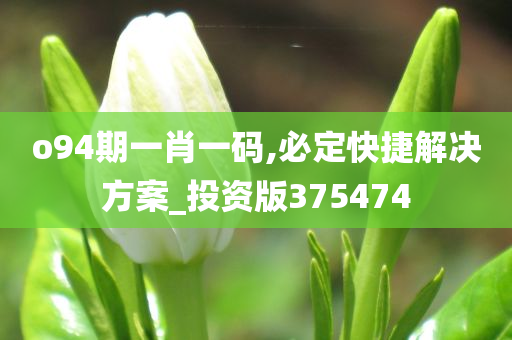 o94期一肖一码,必定快捷解决方案_投资版375474