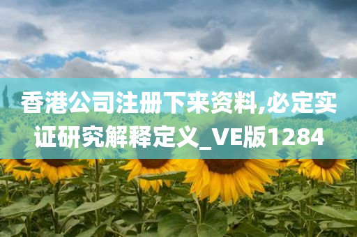 香港公司注册下来资料,必定实证研究解释定义_VE版1284