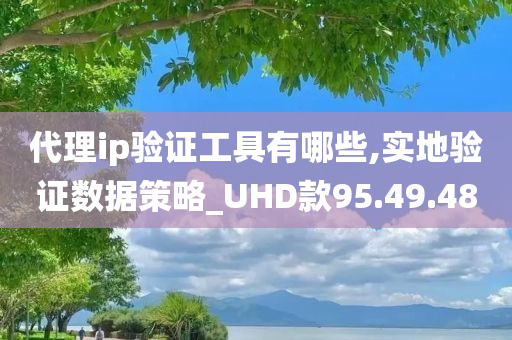 代理ip验证工具有哪些,实地验证数据策略_UHD款95.49.48