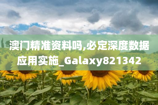 澳门精准资料吗,必定深度数据应用实施_Galaxy821342