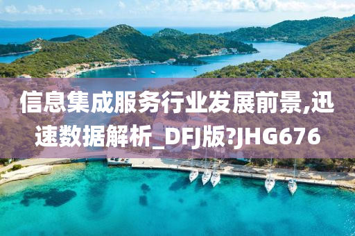 信息集成服务行业发展前景,迅速数据解析_DFJ版?JHG676