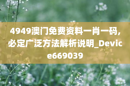 4949澳门免费资料一肖一码,必定广泛方法解析说明_Device669039