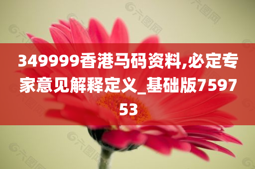 349999香港马码资料,必定专家意见解释定义_基础版759753