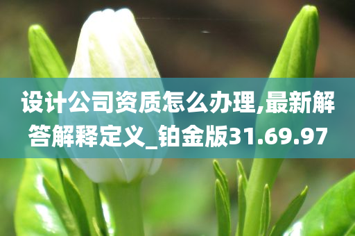 设计公司资质怎么办理,最新解答解释定义_铂金版31.69.97