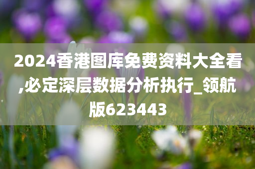 2024香港图库免费资料大全看,必定深层数据分析执行_领航版623443