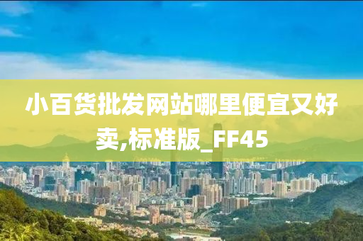 小百货批发网站哪里便宜又好卖,标准版_FF45