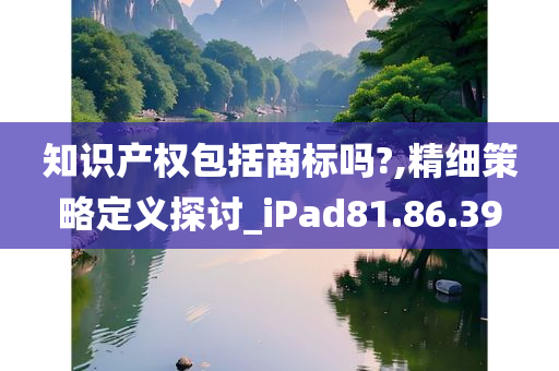 知识产权包括商标吗?,精细策略定义探讨_iPad81.86.39