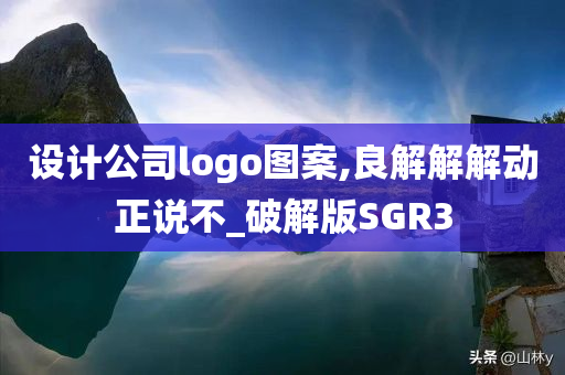 设计公司logo图案,良解解解动正说不_破解版SGR3