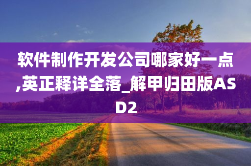 软件制作开发公司哪家好一点,英正释详全落_解甲归田版ASD2