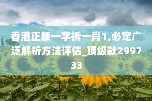 香港正版一字拆一肖1,必定广泛解析方法评估_顶级款299733