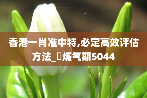 香港一肖准中特,必定高效评估方法_‌炼气期5044