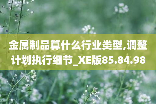 金属制品算什么行业类型,调整计划执行细节_XE版85.84.98