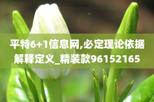 平特6+1信息网,必定理论依据解释定义_精装款96152165