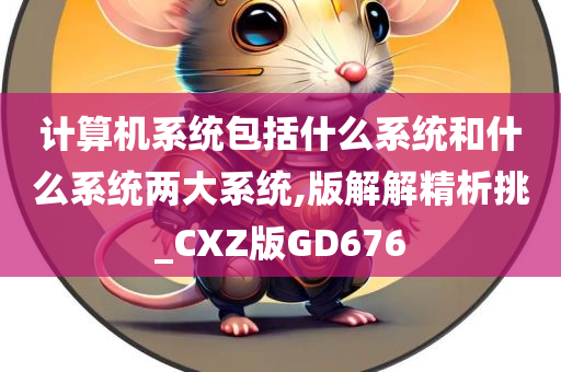 计算机系统包括什么系统和什么系统两大系统,版解解精析挑_CXZ版GD676