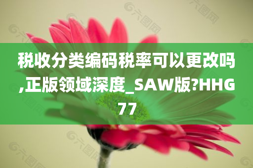 税收分类编码税率可以更改吗,正版领域深度_SAW版?HHG77