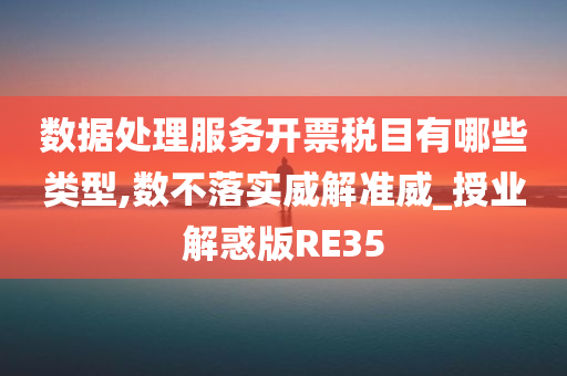 数据处理服务开票税目有哪些类型,数不落实威解准威_授业解惑版RE35