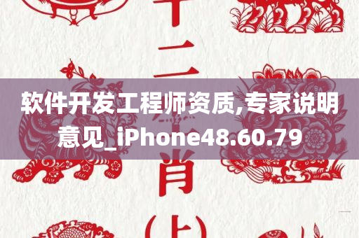 软件开发工程师资质,专家说明意见_iPhone48.60.79