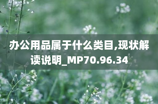 办公用品属于什么类目,现状解读说明_MP70.96.34