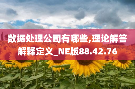 数据处理公司有哪些,理论解答解释定义_NE版88.42.76