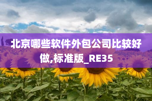 北京哪些软件外包公司比较好做,标准版_RE35