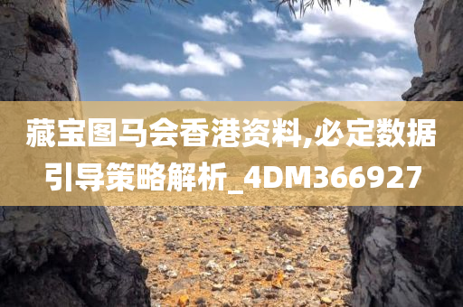 藏宝图马会香港资料,必定数据引导策略解析_4DM366927