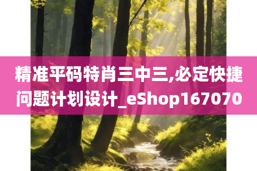 精准平码特肖三中三,必定快捷问题计划设计_eShop167070