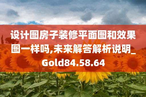 设计图房子装修平面图和效果图一样吗,未来解答解析说明_Gold84.58.64