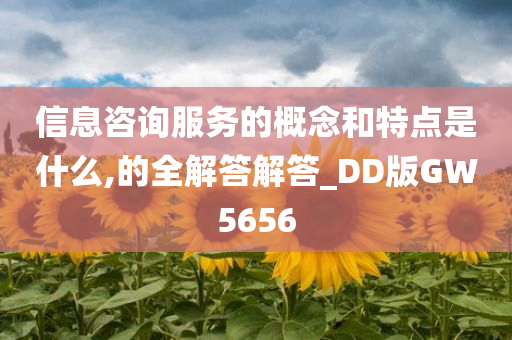 信息咨询服务的概念和特点是什么,的全解答解答_DD版GW5656