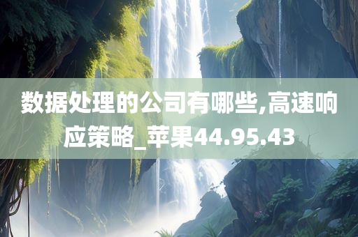 数据处理的公司有哪些,高速响应策略_苹果44.95.43