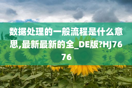 数据处理的一般流程是什么意思,最新最新的全_DE版?HJ7676